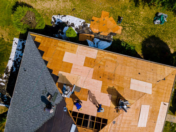 Gutter Installation and Roofing in Ben Bolt, TX